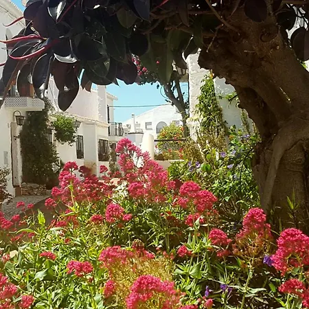 Crisantemos * Nerja